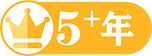 5+Ԫ
